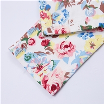 优贝思秋冬新款碎花休闲裤3056（10.18数据包）